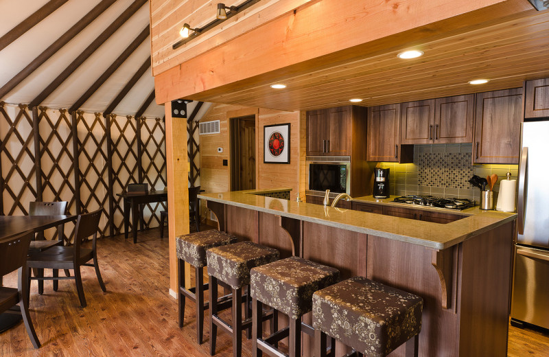 Yurt kitchen at Nootka Marine Adventures.