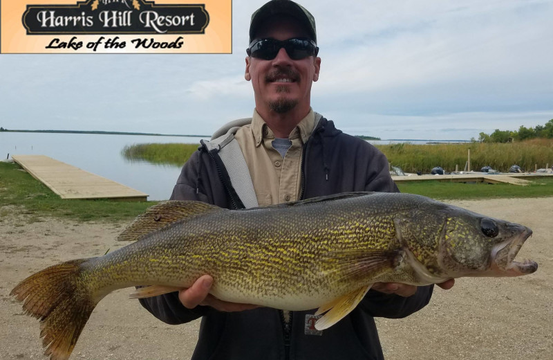 Fishing at Harris Hill Resort.