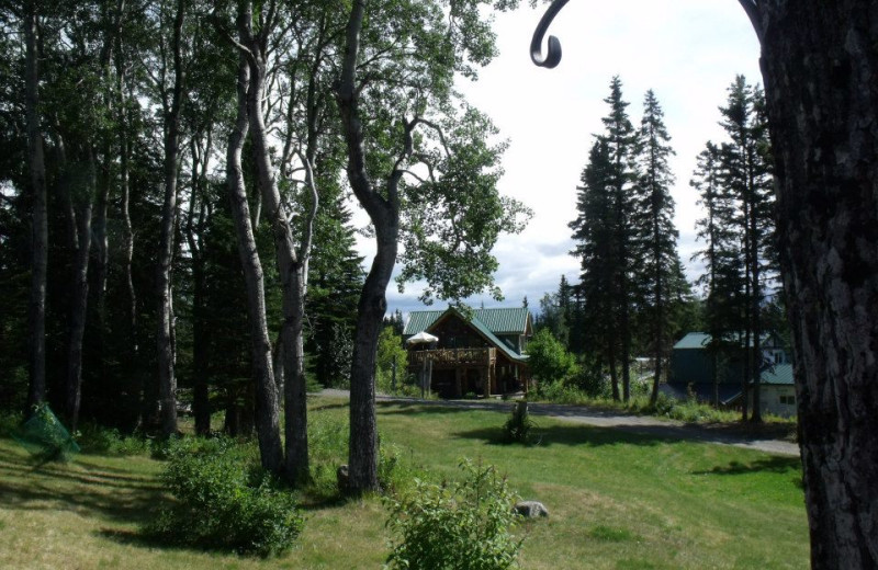 Exterior view of Hungry Moose Bed and Breakfast.