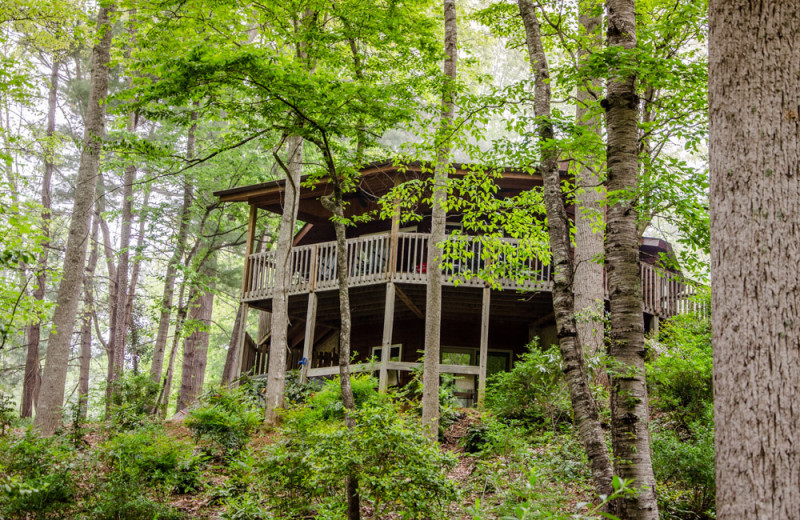 Cabin exterior at Asheville Cabins of Willow Winds.