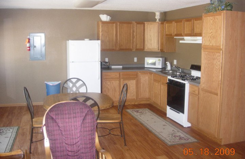 Cabin kitchen at Brophy Lake Resort.