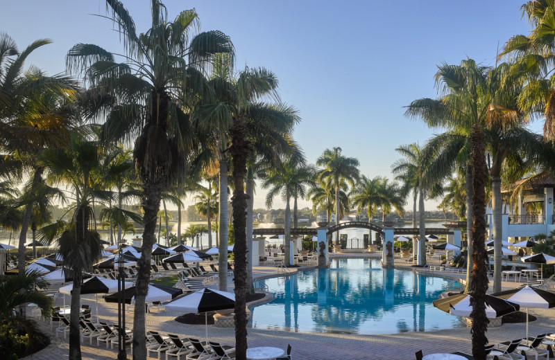 Outdoor pool at PGA National Resort & Spa.