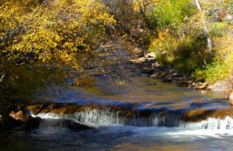 River at Streamside on Fall River.