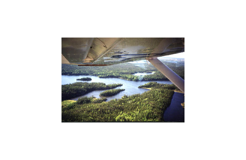 Plane ride at Pine Point Lodge & Outposts.