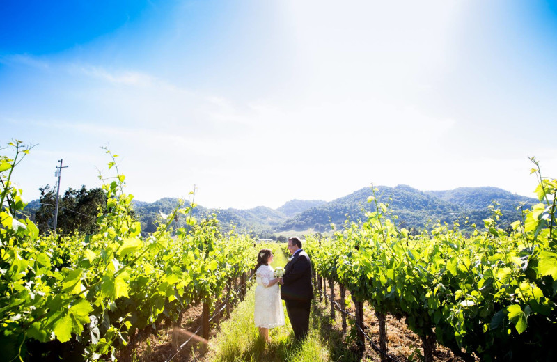 Wedding in vineyard near The Inn on First.