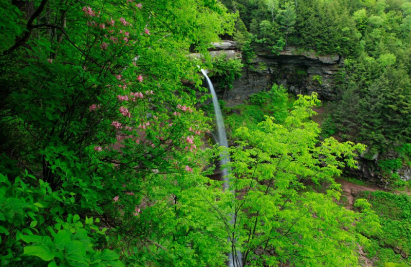 Waterfall at Hotel Vienna.