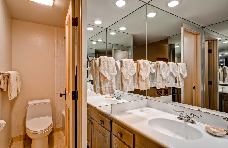 Rental bathroom at Shadowbrook Property Management.