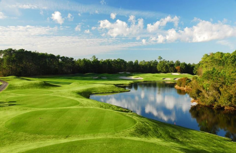 Golf course at Ocean Reef Resort.