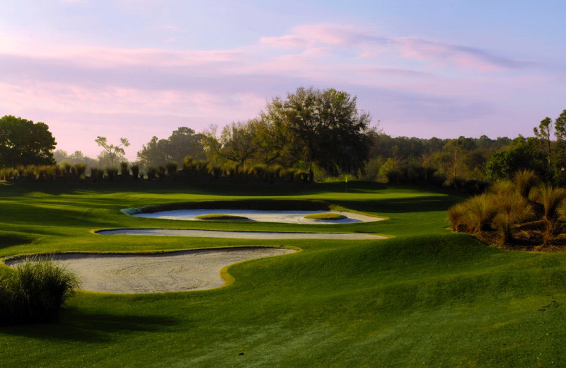 Golf course at Villas of Grand Cypress.
