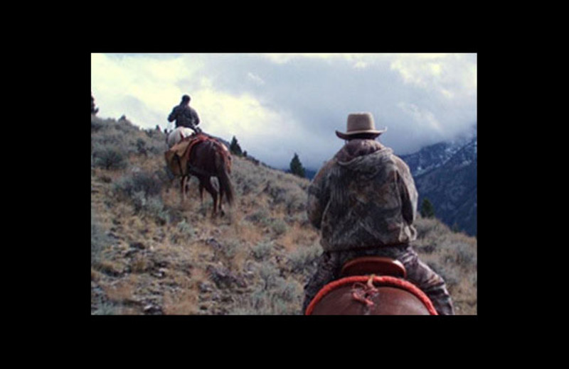 Horseback riding at Castle Creek Outfitters.