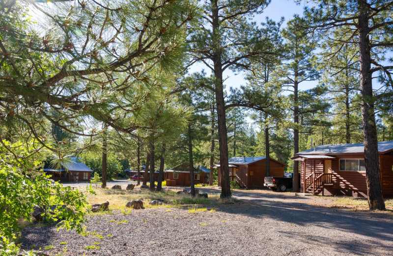 Cabins at Mormon Lake Lodge.