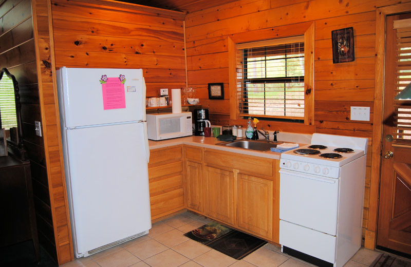 Cabin kitchen at Cabin Fever Resort.