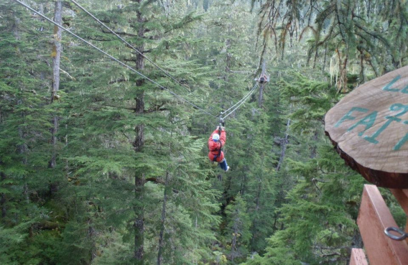 Zip line through the rainforest at A Pearson's Pond Luxury Suites and Adventures.