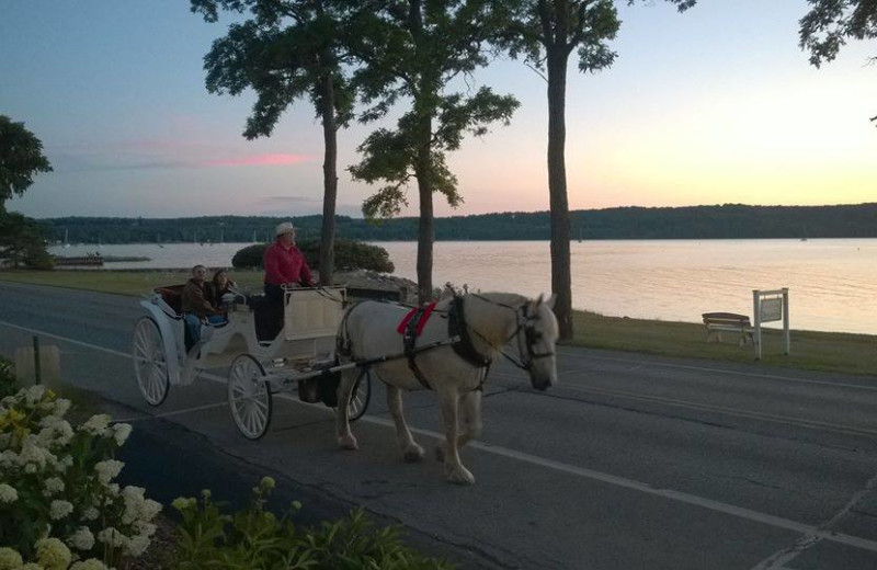 Horse carriage at Edgewater Resort.