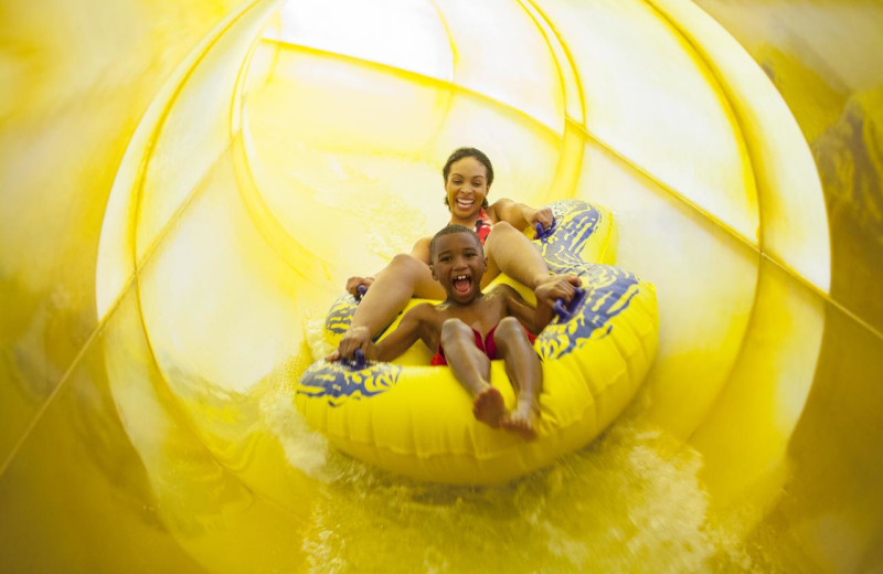 Water slide at Great Wolf Lodge - Sandusky.