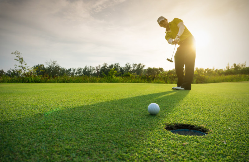 Golf near Courtyard by Marriott St. Joseph-Benton Harbor.