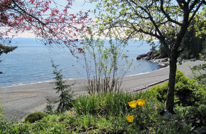 Rental beach at Island Vacation Homes.