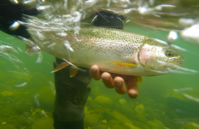 Fishing at The Alaska Adventure Company.