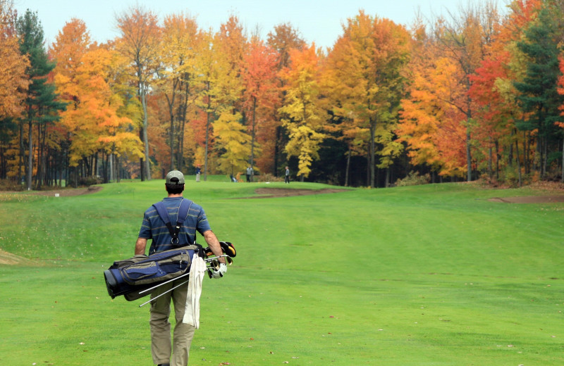 Golf at High Hampton Resort.