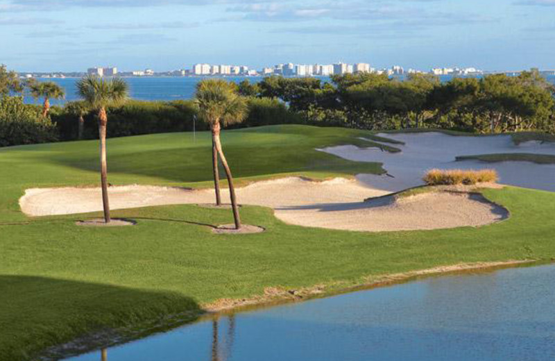 The Resort at Longboat Key Club (Longboat Key, FL) Resort Reviews
