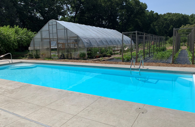 Outdoor pool and gardens at Goldberry Inn.