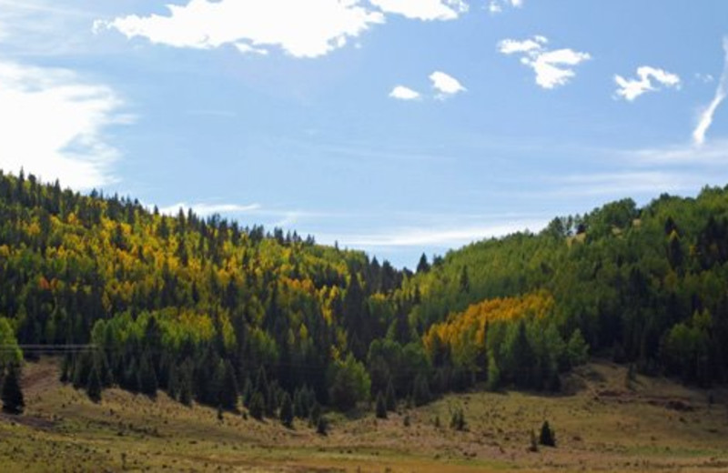 Scenery near Gold King Mountain Inn