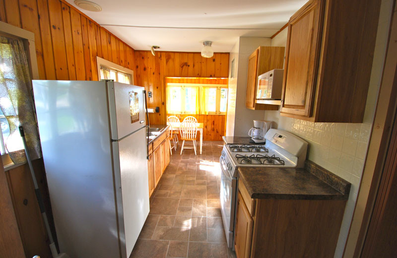 Cabin kitchen at Birch Forest Lodge.