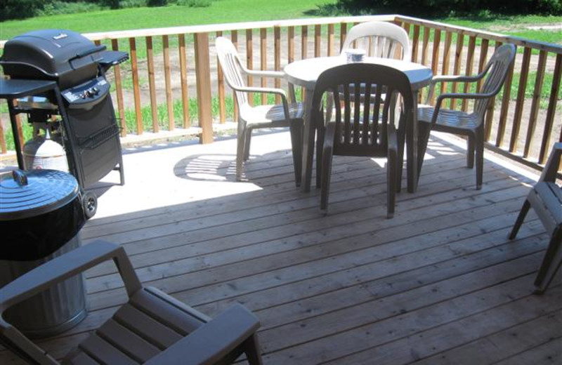 Large covered deck and gas grill
