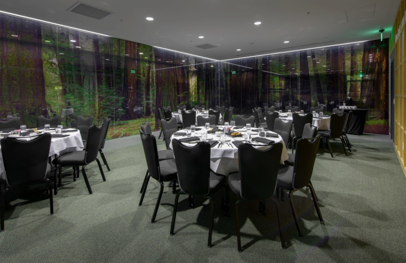 Meeting Room at Hotel Paradox
