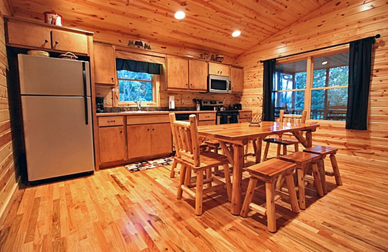 Cabin kitchen at Sautee Resorts.