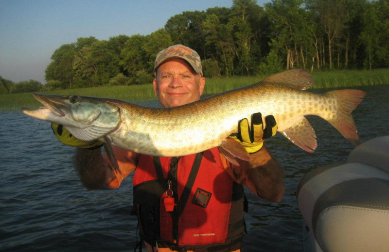 Muskellunge caught on Lake of the Woods at Angle Outpost Resort & Conference Center.