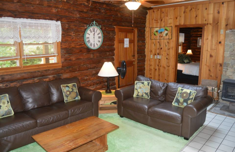 Rental living room at Stay Waterfront - Cheat River Lodge & Cabins.