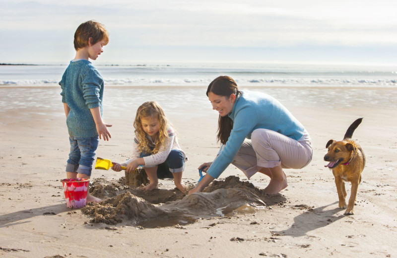 Pets welcome at Outer Banks Blue.