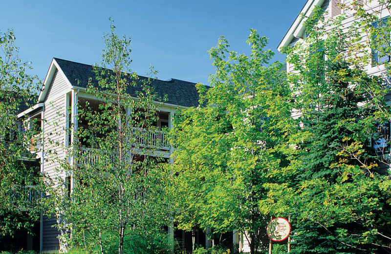 The Homestead (Glen Arbor, MI) Resort Reviews