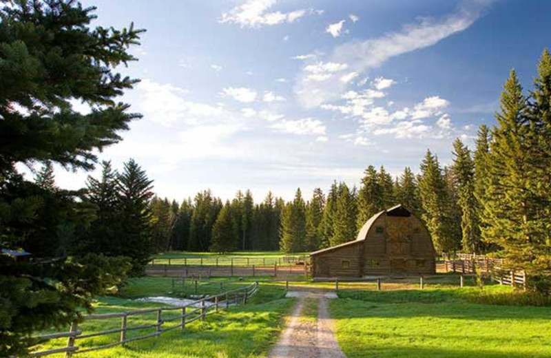The ranch at Trail Creek Ranch.