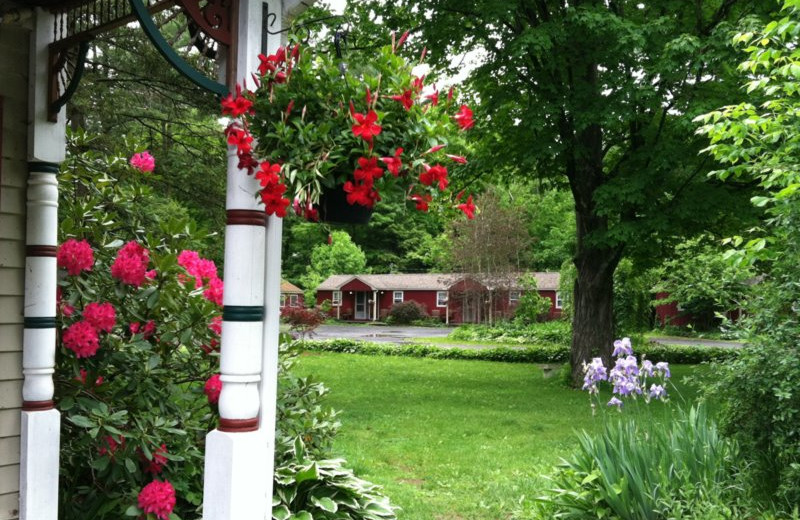 Phoenicia Lodge (Phoenicia, NY) Resort Reviews