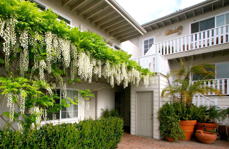 Exterior view of The Tides Laguna Beach.