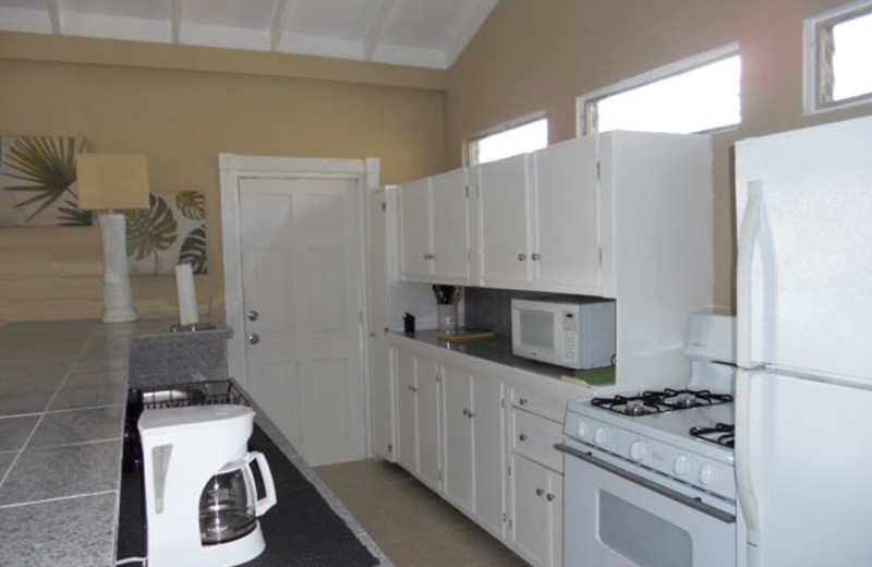 Rental kitchen at Paradise Cove Resort.