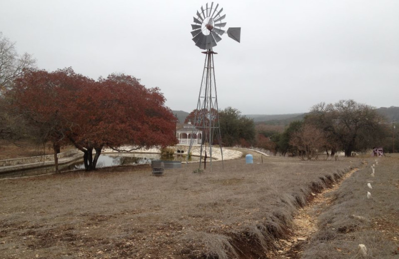 Exterior view of Roddy Tree Ranch.