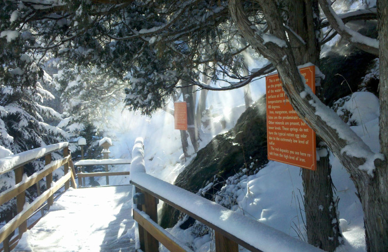 Springs at Box Canyon Lodge & Hot Springs.