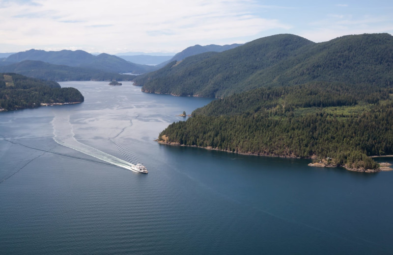 Sky view at Nootka Wilderness Lodge.