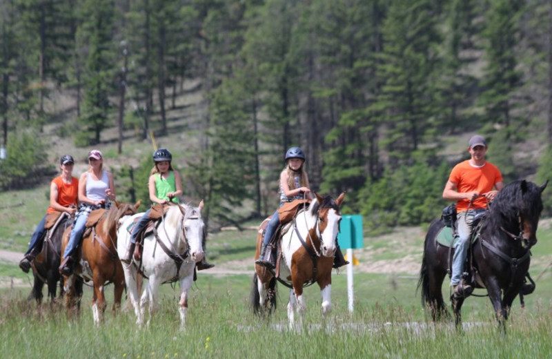 Horseback riding at YD Guest Ranch.