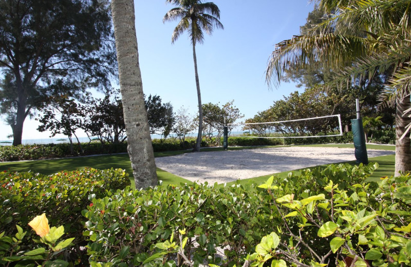 Volleyball court at Casa Ybel Resort.