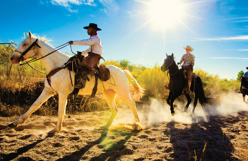 Horseback riding at Tanque Verde Ranch.