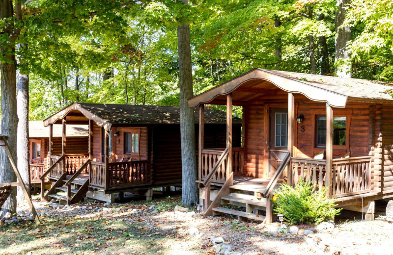 Exterior view of Cabins On The Spur, Seneca Lake.