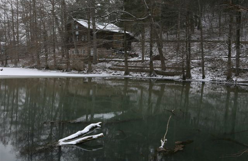 Cabin Exterior at Blue Jay Farm 