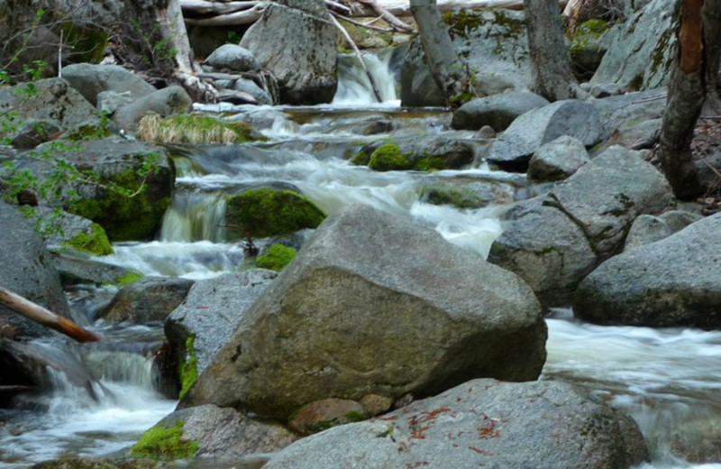 Creek at Idyllwild Vacation Cabins.