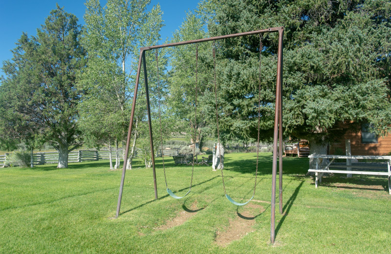 Swings at Cottonwood Meadow Lodge.