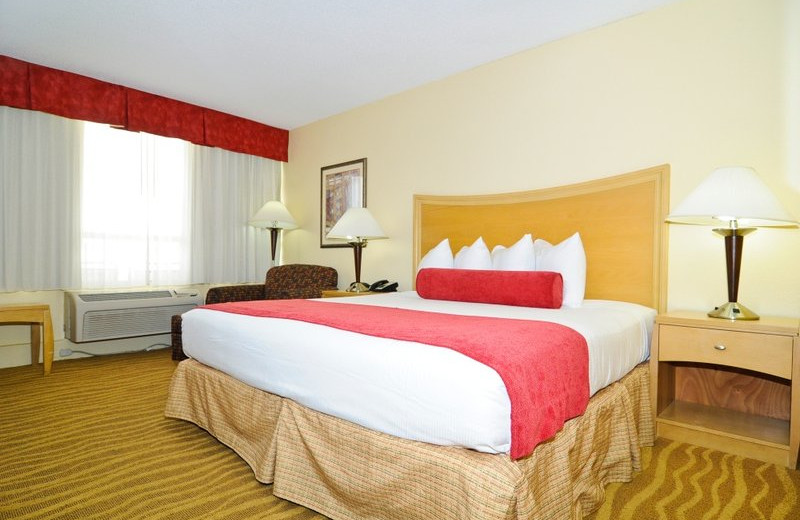 Guest room at Best Western Plus Oceanside Inn.