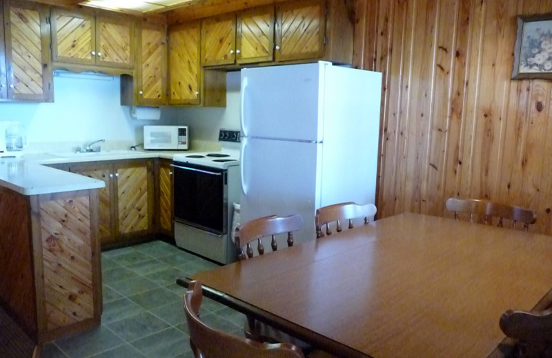 Cabin kitchen at Anderson's Starlight Bay Resort.